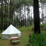 5 Tempat Camping Di Kota Jakarta Selatan Versi Kami